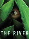 affiche de la série The River