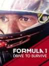 affiche de la série Formula 1 : Pilotes de leur destin