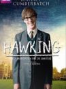 affiche du film Hawking