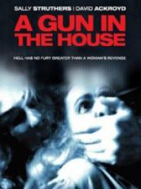 affiche du film A Gun in the House