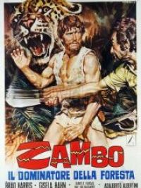 affiche du film Zambo, le maître de la jungle