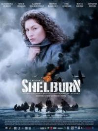 affiche du film Le Réseau Shelburn