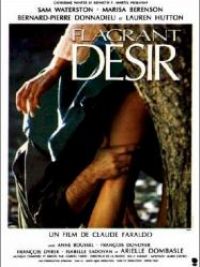 affiche du film Flagrant désir