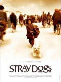affiche du film Stray Dogs