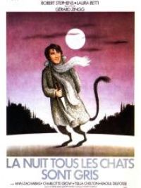 Nuit tous les chats sont gris (La)