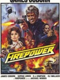 affiche du film L'Arme au poing
