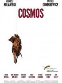 affiche du film Cosmos