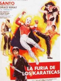 affiche du film La furia de los karatecas 