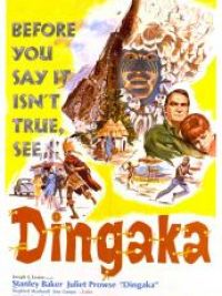 affiche du film Dingaka