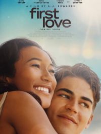 affiche du film Le Pied Nickelé