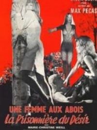 affiche du film Une femme aux abois