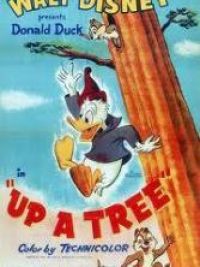 affiche du film Donald flotteur de bois