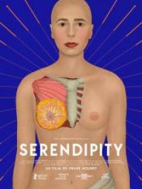 affiche du film Serendipity