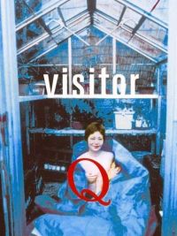 affiche du film Visitor Q