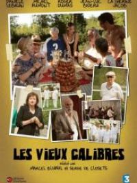 affiche du film Les vieux calibres
