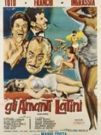 affiche du film Lune de miel au Brésil