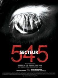 affiche du film Secteur 545