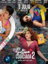 affiche du film Ma vie après toi 2