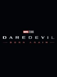 Daredevil Series : Born Again
