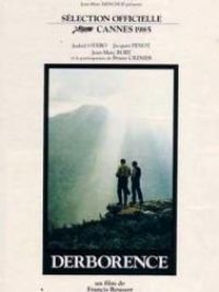 affiche du film Derborence 