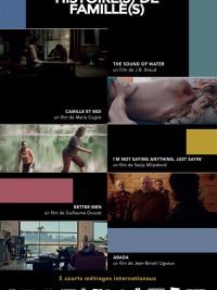 affiche du film Histoire(s) de Famille(s)