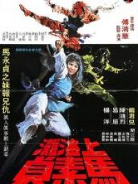 affiche du film 十面威風