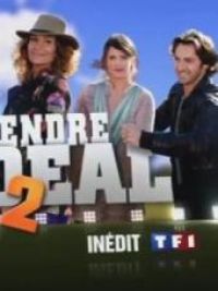 affiche du film Le gendre idéal 2