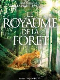 affiche du film Le royaume de la forêt
