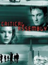 Critical assembly