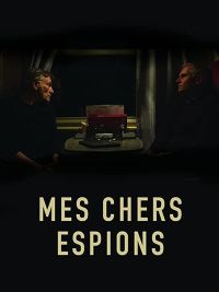 affiche du film Mes chers espions
