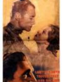 affiche du film La Brigade sauvage