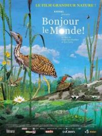 affiche du film Bonjour le monde !