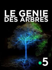 affiche du film Le génie des arbres
