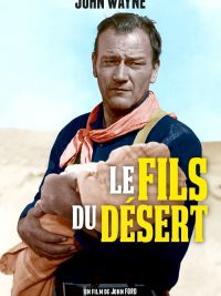 affiche du film Le fils du désert