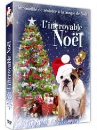 affiche du film L'incroyable Noël