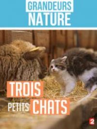 affiche du film 3 petits chats (Docu-Reportage)