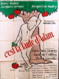 affiche du film C'est la faute d'Adam