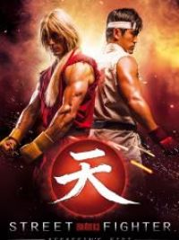 affiche du film Street Fighter: Assassin's Fist
