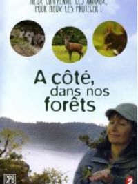 affiche du film A côté dans nos forêts (Docu-Reportage)