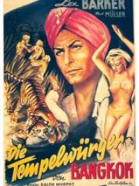 affiche du film Les mystères de la jungle noire
