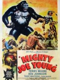 affiche du film Monsieur Joe