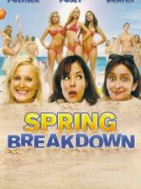 Spring Breakdown