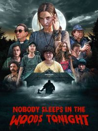 affiche du film Nobody Sleeps in the Woods Tonight