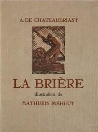 affiche du film La Brière 