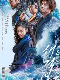affiche du film The Pirates : À nous le trésor royal !