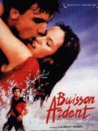 affiche du film Buisson ardent