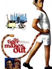 affiche du film The Tiger Makes Out