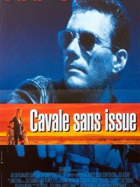 affiche du film Cavale sans issue