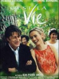affiche du film C'est la vie !