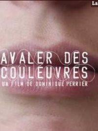affiche du film Avaler des couleuvres